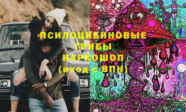 круглые Корсаков